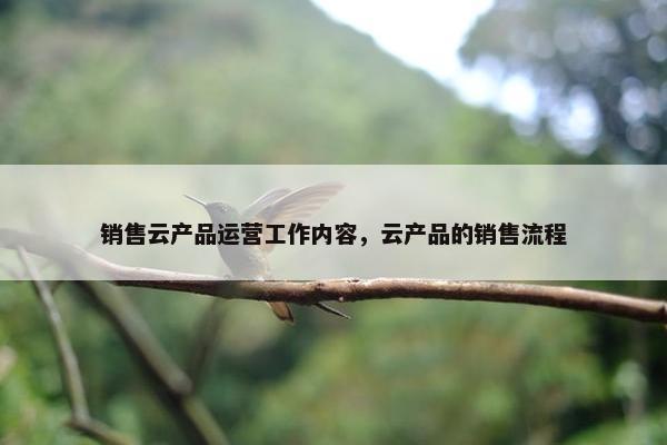 销售云产品运营工作内容，云产品的销售流程