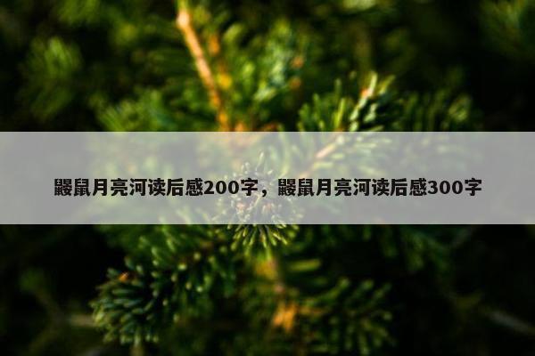 鼹鼠月亮河读后感200字，鼹鼠月亮河读后感300字