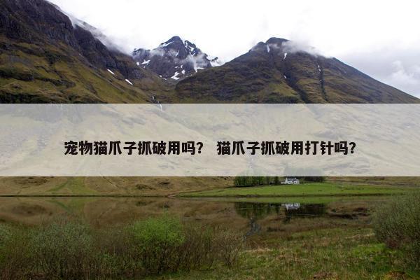 宠物猫爪子抓破用吗？ 猫爪子抓破用打针吗？
