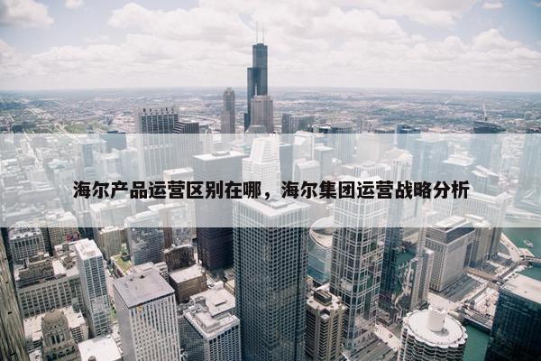 海尔产品运营区别在哪，海尔集团运营战略分析
