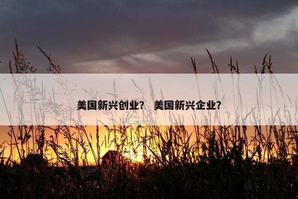 美国新兴创业？ 美国新兴企业？