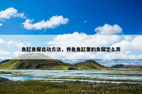 鱼缸鱼屎自动方法，养鱼鱼缸里的鱼屎怎么弄