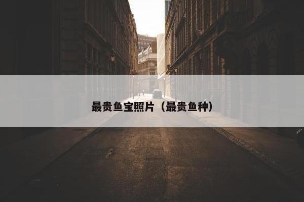最贵鱼宝照片（最贵鱼种）
