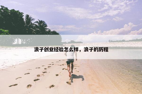 浪子创业经验怎么样，浪子的历程