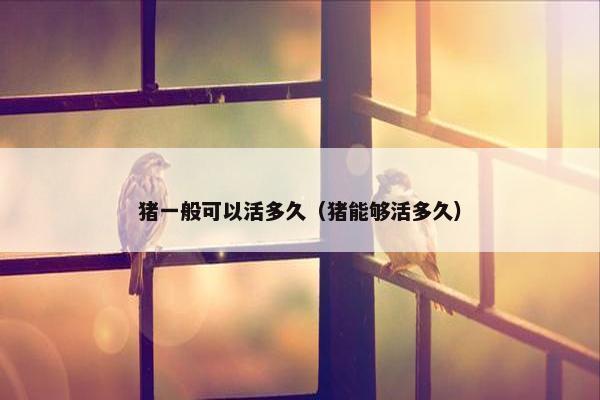 猪一般可以活多久（猪能够活多久）