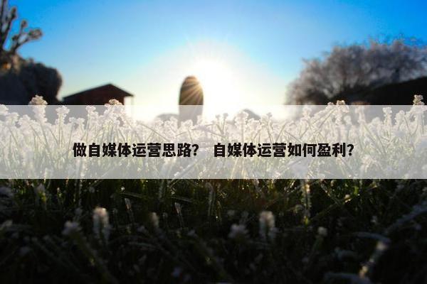 做自媒体运营思路？ 自媒体运营如何盈利？