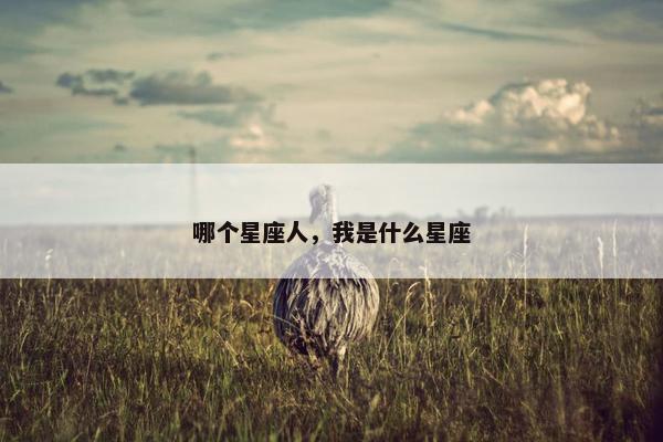哪个星座人，我是什么星座