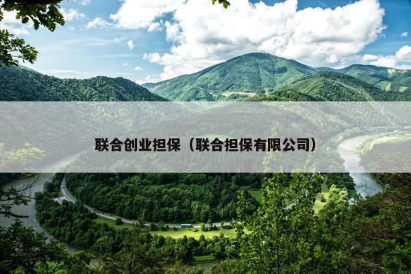 联合创业担保（联合担保有限公司）