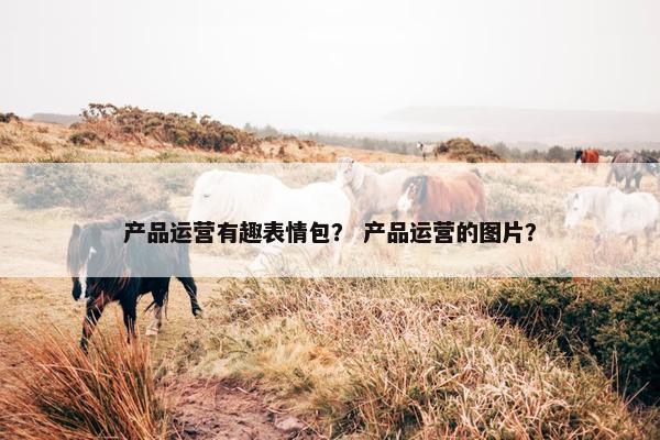 产品运营有趣表情包？ 产品运营的图片？