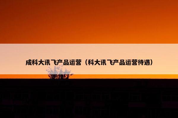 成科大讯飞产品运营（科大讯飞产品运营待遇）