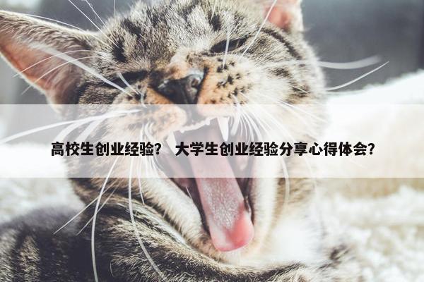 高校生创业经验？ 大学生创业经验分享心得体会？
