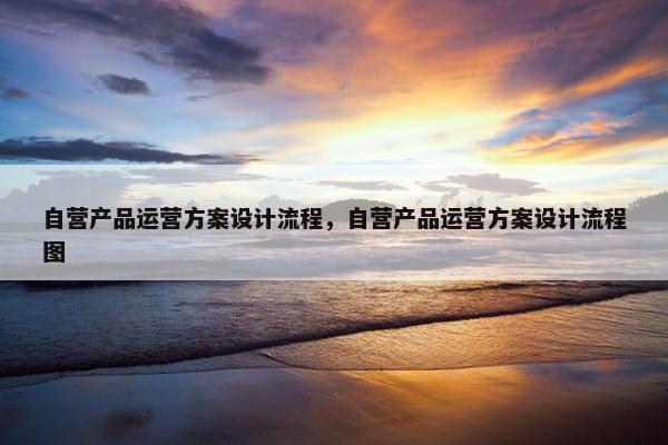 自营产品运营方案设计流程，自营产品运营方案设计流程图