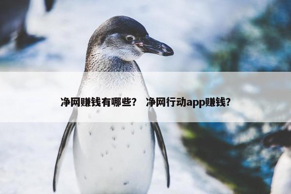 净网赚钱有哪些？ 净网行动app赚钱？