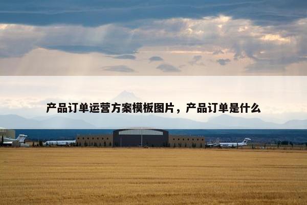 产品订单运营方案模板图片，产品订单是什么