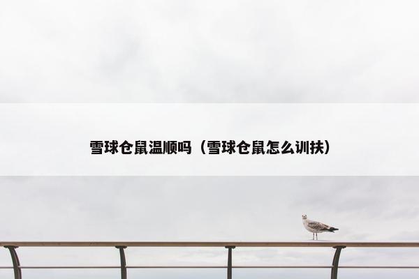 雪球仓鼠温顺吗（雪球仓鼠怎么训扶）
