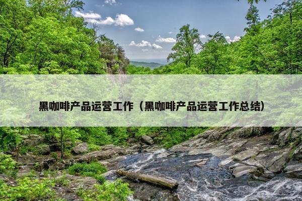 黑咖啡产品运营工作（黑咖啡产品运营工作总结）