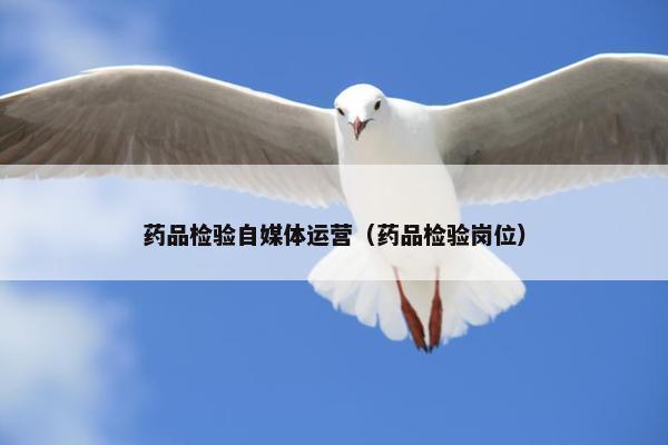 药品检验自媒体运营（药品检验岗位）