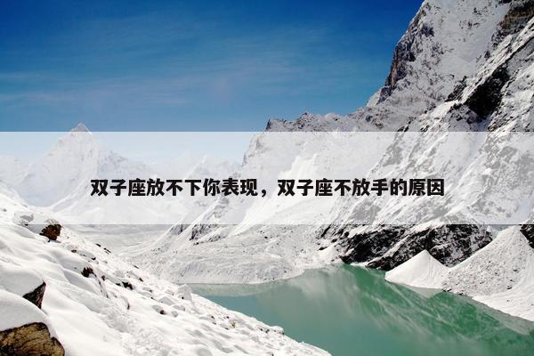 双子座放不下你表现，双子座不放手的原因
