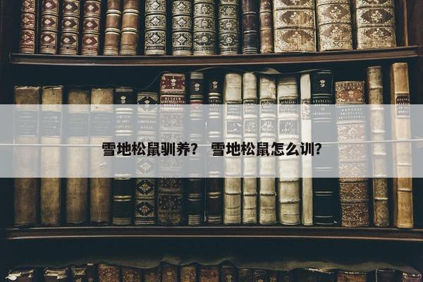 雪地松鼠驯养？ 雪地松鼠怎么训？