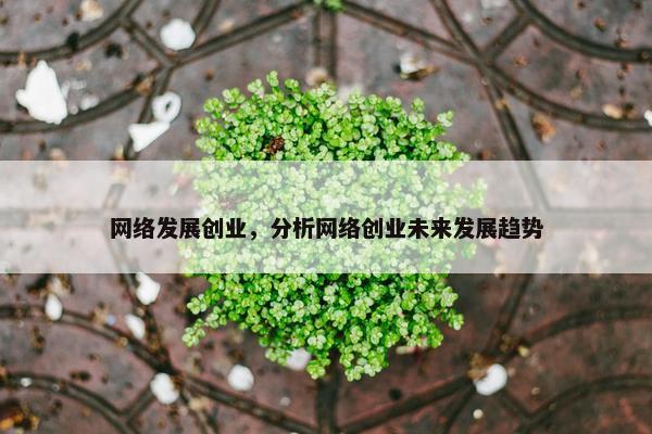 网络发展创业，分析网络创业未来发展趋势