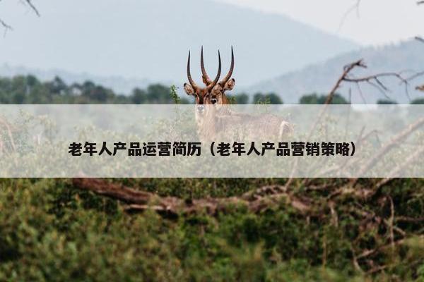 老年人产品运营简历（老年人产品营销策略）