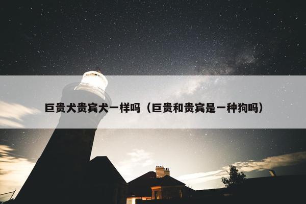 巨贵犬贵宾犬一样吗（巨贵和贵宾是一种狗吗）
