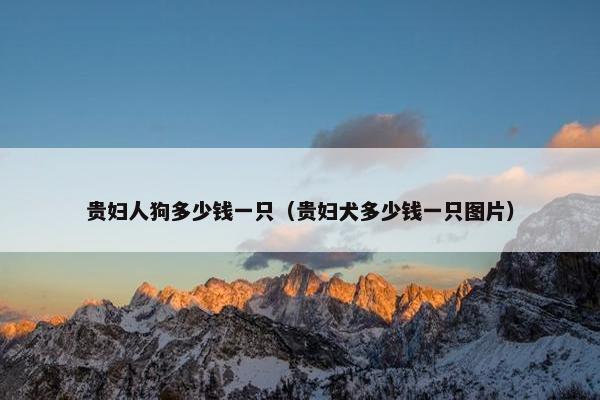 贵妇人狗多少钱一只（贵妇犬多少钱一只图片）