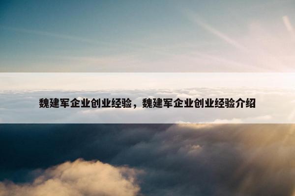 魏建军企业创业经验，魏建军企业创业经验介绍
