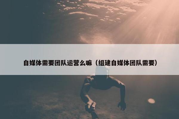 自媒体需要团队运营么嘛（组建自媒体团队需要）