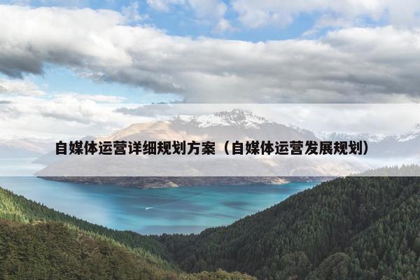 自媒体运营详细规划方案（自媒体运营发展规划）