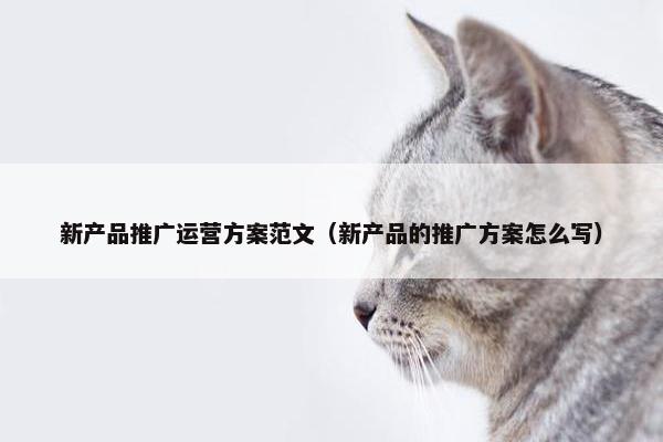 新产品推广运营方案范文（新产品的推广方案怎么写）