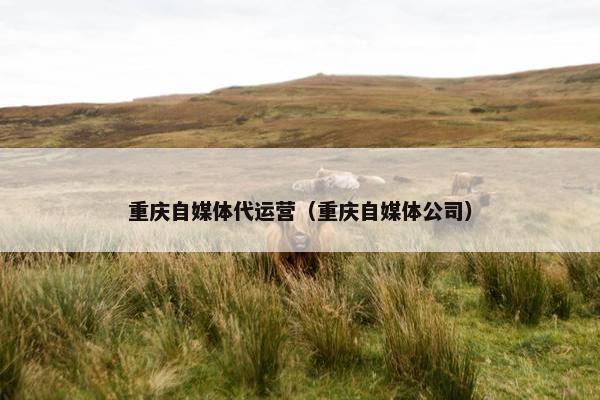 重庆自媒体代运营（重庆自媒体公司）
