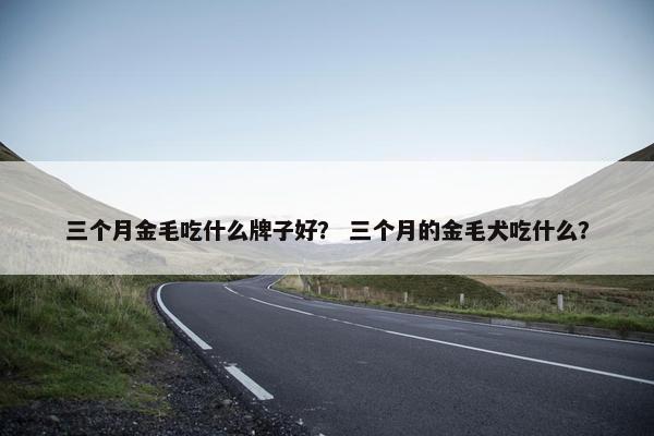 三个月金毛吃什么牌子好？ 三个月的金毛犬吃什么？