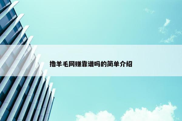 撸羊毛网赚靠谱吗的简单介绍