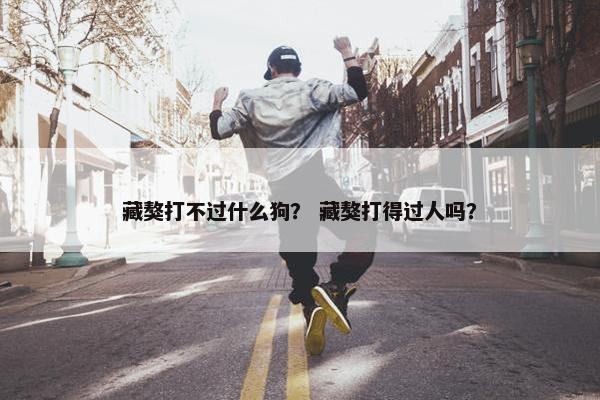 藏獒打不过什么狗？ 藏獒打得过人吗？