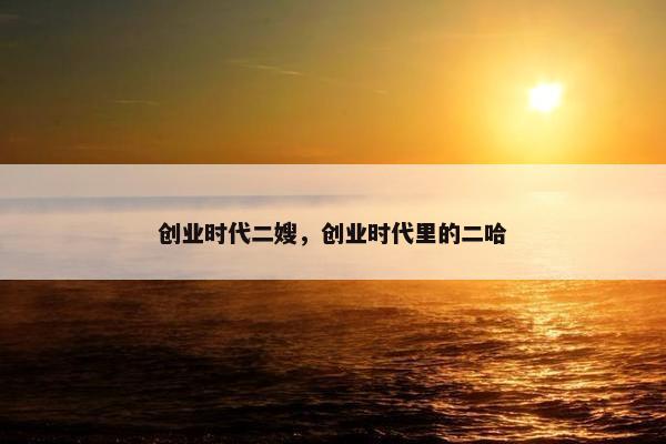 创业时代二嫂，创业时代里的二哈
