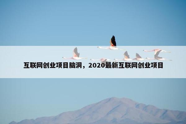 互联网创业项目脑洞，2020最新互联网创业项目