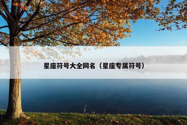星座符号大全网名（星座专属符号）