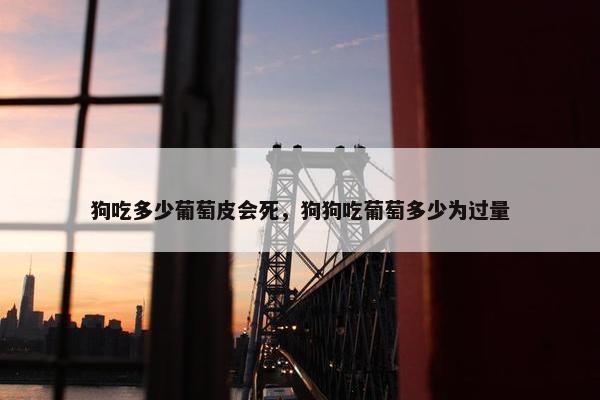 狗吃多少葡萄皮会死，狗狗吃葡萄多少为过量