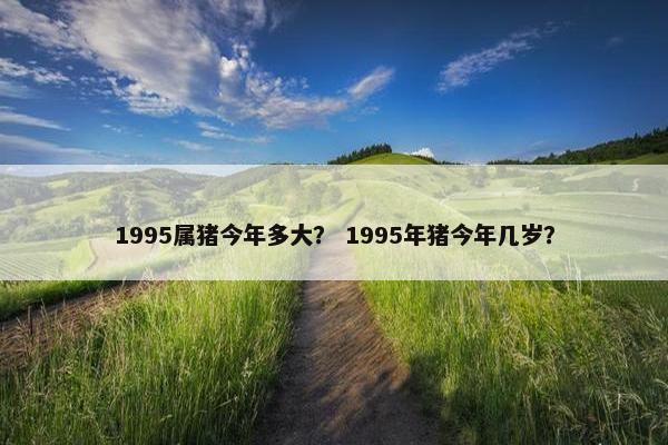 1995属猪今年多大？ 1995年猪今年几岁？