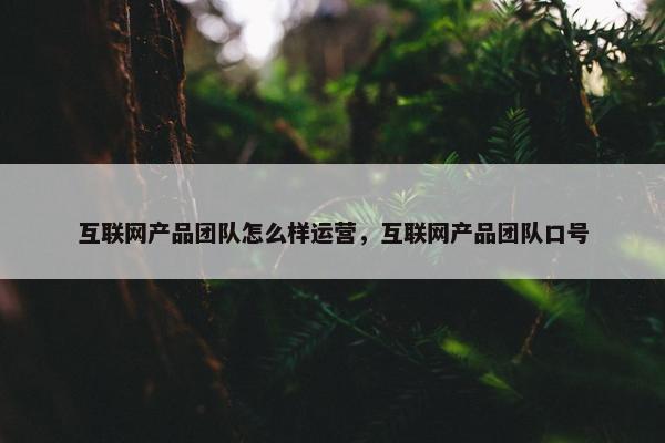 互联网产品团队怎么样运营，互联网产品团队口号