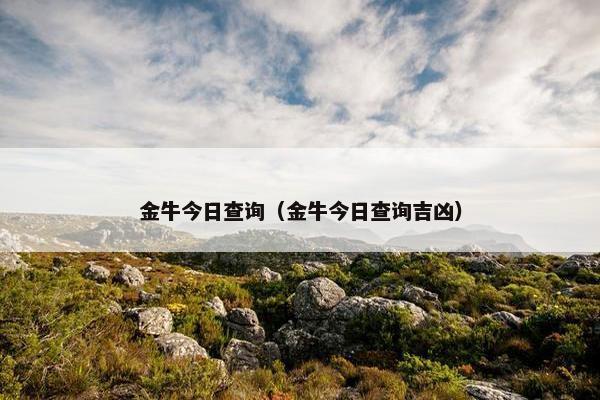 金牛今日查询（金牛今日查询吉凶）