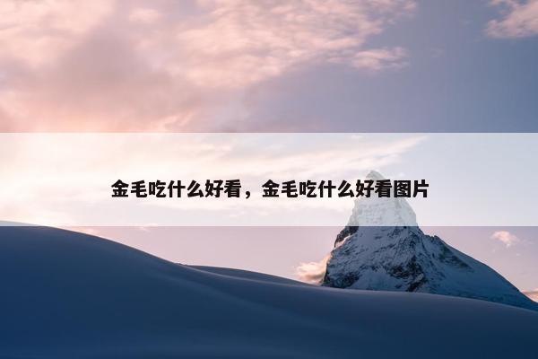 金毛吃什么好看，金毛吃什么好看图片