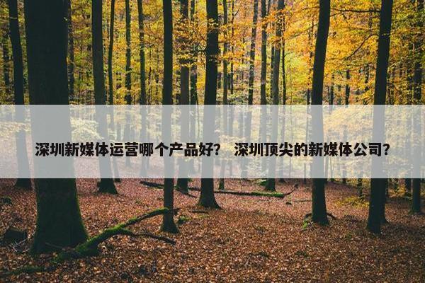 深圳新媒体运营哪个产品好？ 深圳顶尖的新媒体公司？