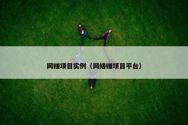 网赚项目实例（网络赚项目平台）