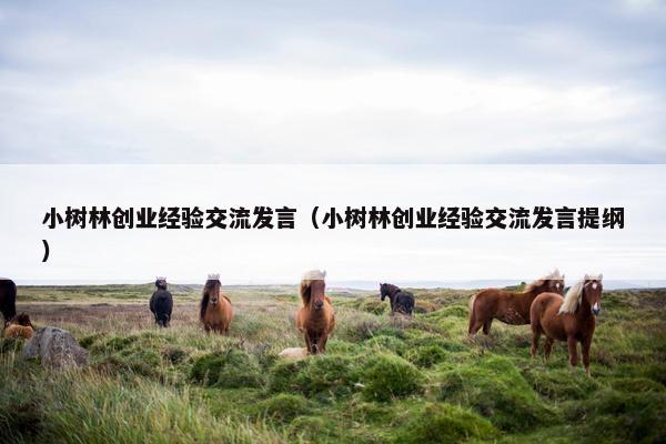 小树林创业经验交流发言（小树林创业经验交流发言提纲）