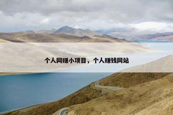 个人网赚小项目，个人赚钱网站