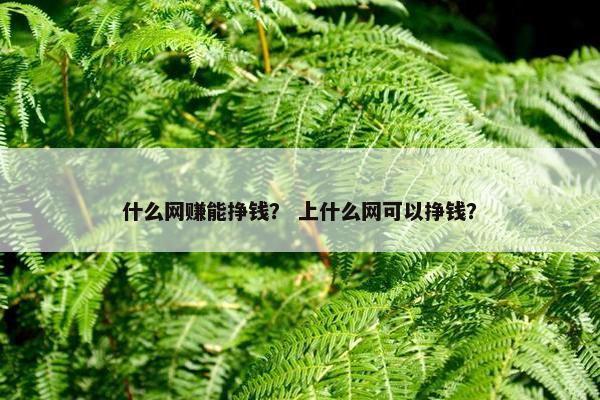 什么网赚能挣钱？ 上什么网可以挣钱？