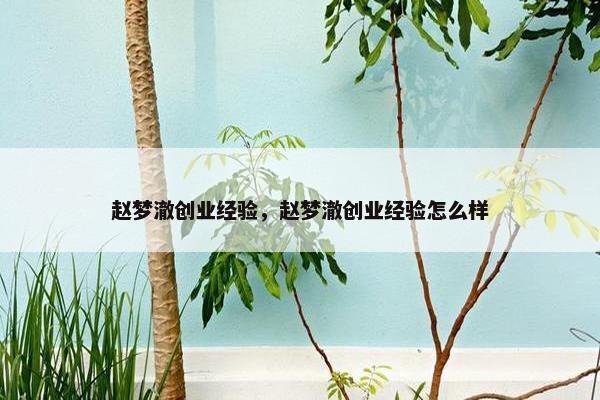 赵梦澈创业经验，赵梦澈创业经验怎么样