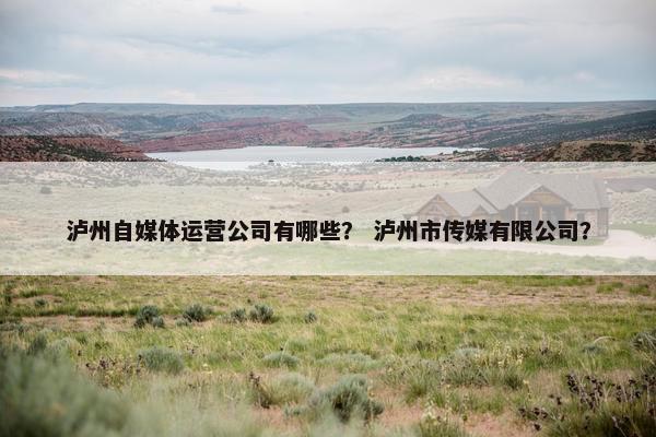 泸州自媒体运营公司有哪些？ 泸州市传媒有限公司？